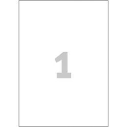 Etykiety usuwalne AVERY Zweckform, uniwersalne, z zaokrąglonymi rogami, 25 arkuszy A4 210 x 297 mm