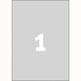Etykiety znamionowe Avery Zweckform, srebrne poliestrowe, 20 arkuszy A4 210 x 297 mm