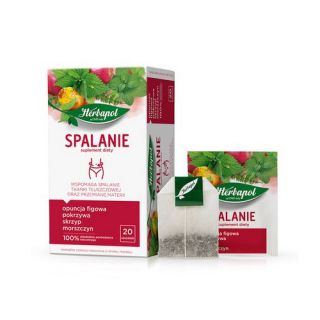 Herbata funkcyjna Herbapol Spalanie + Oczyszczanie, ziołowa 20 torebek