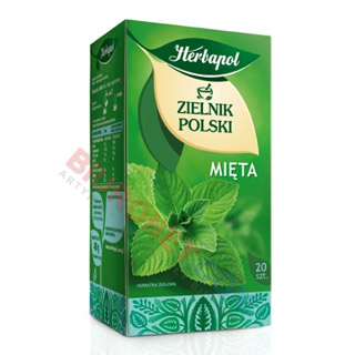 Herbata ziołowa Herbapol Zielnik Polski, 20 torebek bez sznureczków mięta