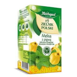 Herbata ziołowa Herbapol Zielnik Polski, 20 torebek bez sznureczków melisa - pigwa