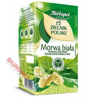 Herbata ziołowa Herbapol Zielnik Polski, 20 torebek bez sznureczków morwa biała