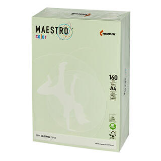 Papier kolorowy Maestro Color Pastele A4/160g, 250 arkuszy jasny zielony - GN27