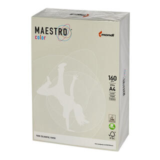Papier kolorowy Maestro Color Trendy A4/160g, 250 arkuszy szary - GR21