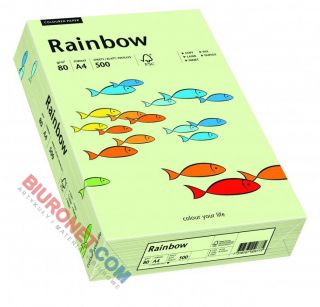 Papier kolorowy Rainbow, pastelowy, format A4, gramatura 80g/m2, 500 arkuszy blado zielony
