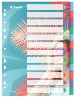 Przekładki z kolorowymi indeksami Esselte Breeze A4, 4 kolory, plastikowe z kartą opisową 12 kart
