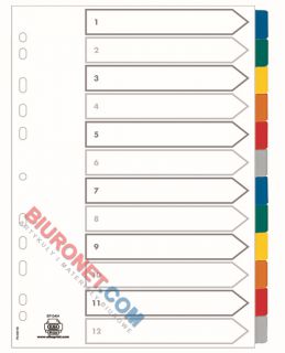 Przekładki z kolorowymi indeksami Oxford Mylar A4+, 6 kolorów, kartonowe z kartą opisową 12 kart