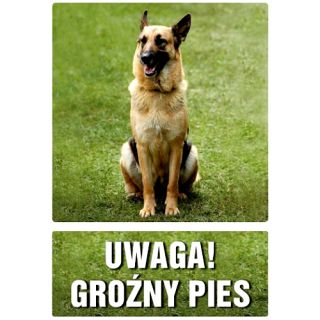 Znak zdjęcie tabliczka ostrzeżenie TDC, z napisem: "Uwaga groźny pies" 14,8 x 21 cm