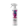 CLINEX Scent 500 ml, odświeżacz powietrza, skoncentrowany spray Paryski Wdzięk