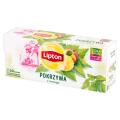 Herbata ziołowa Lipton Pokrzywa z Mango, torebki ze sznureczkami 20 torebek