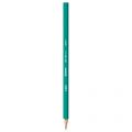 Ołówek bez gumki BIC Evolution HB, bezdrzewny, opakowanie 12 sztuk HB