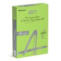 Papier kolorowy REY Adagio A4/80g Intense 500 arkuszy, intensywny 16 - jasny zielony