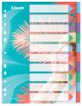 Przekładki z kolorowymi indeksami Esselte Breeze A4, 4 kolory, plastikowe z kartą opisową 10 kart