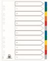 Przekładki z kolorowymi indeksami Oxford Mylar A4+, 6 kolorów, kartonowe z kartą opisową 12 kart