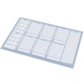 Biuwar z planem tygodniowym Panta Plast, blok 30 kartek, pod...