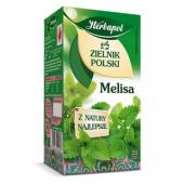 Herbapol Zielnik Polski, herbata ziołowa, 20 torebek