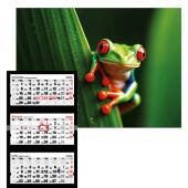 Kalendarz trójdzielny 2026 motyw Żabka, wiszący z widokiem n...