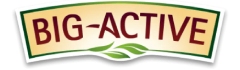 Logo Big-Active